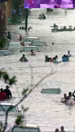 MAKE A KATRINA DONATION