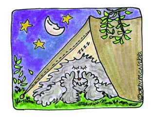 Local Attractions
