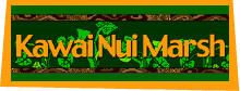 Kawai Nui Marsh