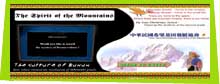 CyberFair Winner Category 2