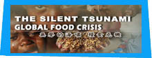 Doors to Diplomacyr Winner - The Silent Tsunami ~ Global Food Crisis