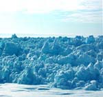 Polar Snow