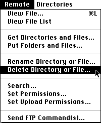 Fetch Image - Deleting a file